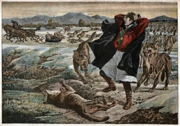 Wölfe in Transsilvanien